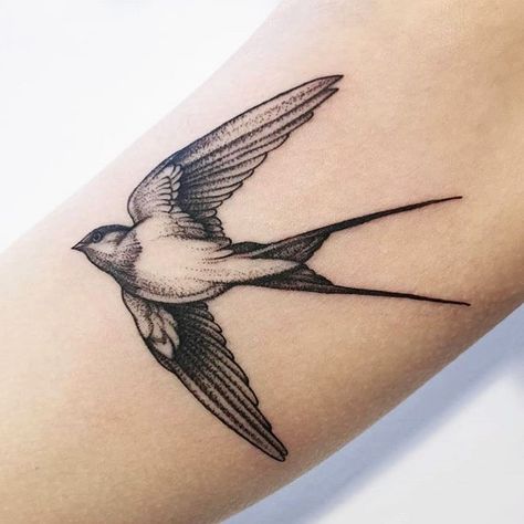 Swallow Tattoo Design, Swallow Bird Tattoos, Bird Tattoo Men, Tattoo Garden, Vogel Tattoo, Sparrow Tattoo, Swallow Tattoo, Inspiration Tattoos, Парные Тату