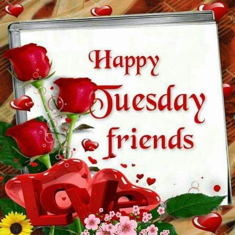 Happy Tuesday Friends day tuesday tuesday quotes happy tuesday tuesday images… Hello Tuesday Quotes, Happy Monday Gif, Christmas Lights Quotes, Happy Holidays Quotes, Happy Tuesday Morning, Tuesday Images, Wednesday Blessings, Happy Tuesday Friends, Hello Tuesday