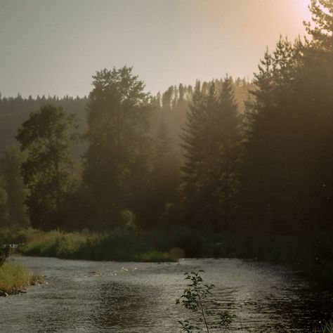 Augustcore Aesthetic, North Idaho, Forest Core, Golden Hour Photography, Golden Hour, North West, Idaho, Photographer, Quick Saves