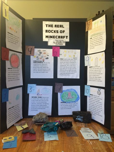 The real rocks of Minecraft for our science fair project. Minecraft Science Fair Project, Minecraft Science, 7th Grade Science Projects, Science Fair Experiments, Science Fair Board, Science Fair Projects Boards, Fourth Grade Science, Science Camp, Middle School Science Experiments