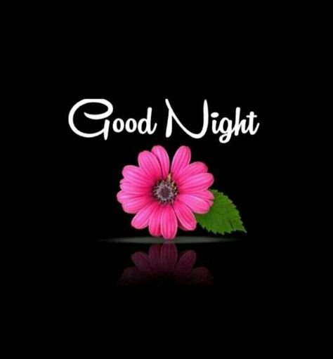 Good Nyt, Good Night Images Hd, Good Morning Love Messages, Evening Greetings, Good Morning Images Hd, S Love Images, Good Morning Beautiful Pictures, Good Morning Beautiful Images, Good Night Gif