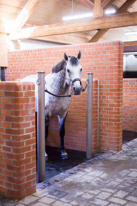 Wash Bays For Horses, Horse Wash Bay, Barn Architecture, Equestrian Stables, Stable Style, Grey Horses, Horse Barn Ideas Stables, Stable Ideas, Horse Barn Designs