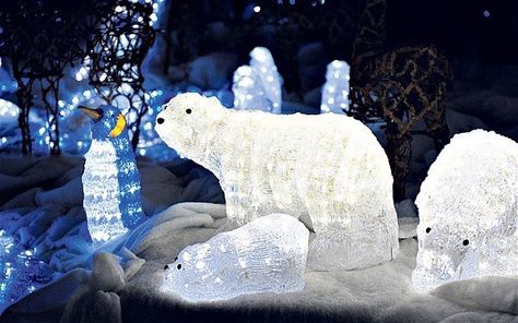 Polar Bear Diy, Bear Christmas Decorations, Polar Bear Christmas Decorations, Christmas Light Ideas, Indoor Christmas Lights, House Lights, Christmas Light Installation, Hanging Christmas Lights, Christmas House Lights