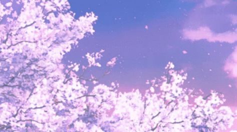 Sakura Cherry Blossoms GIF - Sakura CherryBlossoms Petals - Discover & Share GIFs Anime Cherry Blossom, Moon Outfit, Gif Background, Cherry Blossom Petals, Moving Backgrounds, Lavender Aesthetic, Flowers Gif, Anime Gifs, Sakura Cherry Blossom