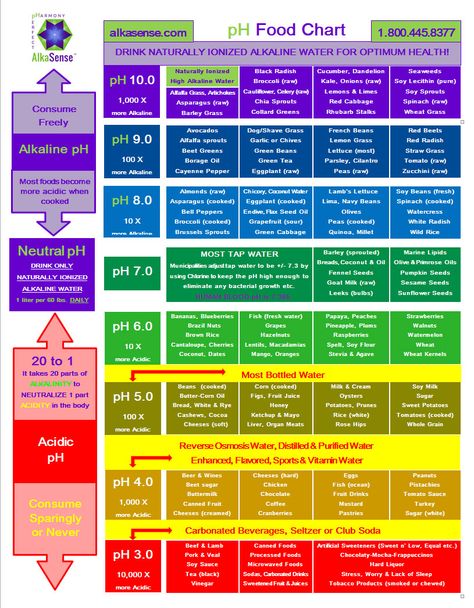 pH-food-chart Chia Sprouts, Ph Food Chart, Ph Chart, Alkaline Foods Chart, Alkalizing Foods, Black Radish, French Beans, Acid And Alkaline, Raw Cauliflower