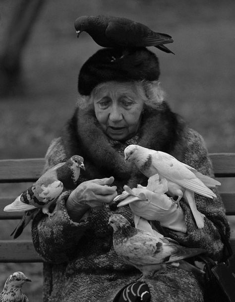 Halnor Mank, Bird Lady of Central Park Bird Lady, Central Park Nyc, Julie Andrews, Foto Vintage, Old Woman, Mary Poppins, Jolie Photo, Quarter Horse, People Of The World