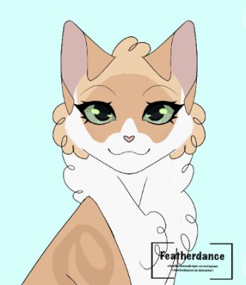 Warrior Cats Quizzes, Warrior Cats Picrew, Cat Picrew, Dont Speak, Mini Books Diy, Speak Japanese, Cats Books, Warrior Cats Books, Make Your Own Character