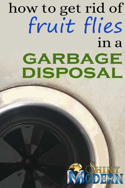 How To Get Rid Of Knats In The Sink, How To Get Rid Of Nats In The Kitchen, How To Get Rid Of Nats In The Drain, Fruit Fly Drain Cleaner, How To Get Rid Of Gnats In Sink Drain, Kill Fruit Flies In House, How To Get Rid Of Fruit Flies In Drain, Fruit Flies In Drain Sinks, How To Get Rid Of Fruit Flies And Nats