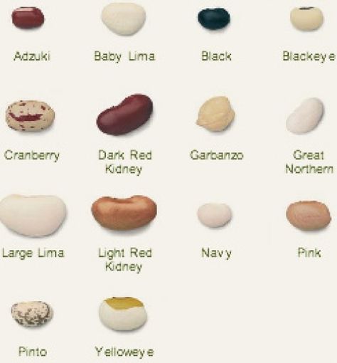 Bean Varieties Vegan Chart Nutrition, Edible Fungi Chart, Lentils Nutrition Facts, Vegetarian Balanced Diet Chart, Vegan Protein Sources Chart, Recipes Using Beans, Dry Beans Recipe, Bean Varieties, Cooking Wild Rice