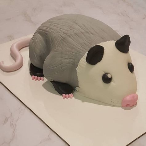 Opossum Cake, Possum Cake, Goofy Cake, Cake Themes, 21 Bday, Animal Cake, Cupcake Decorating, 12th Birthday, Baking Sweets