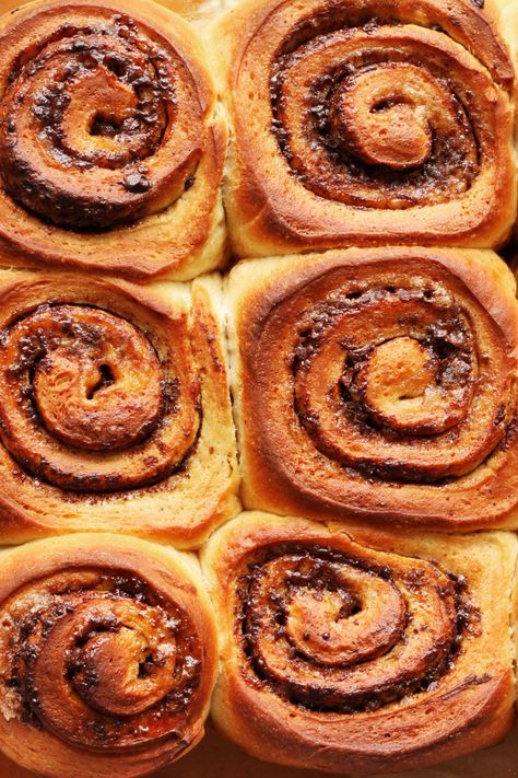 The BEST Brioche Rolls - Scientifically Sweet Vanilla Brioche Bread, Best Moist Chocolate Cake, Scientifically Sweet, Brioche Rolls, Chocolate Roll, Cream Cheese Frosting Recipe, Sweet Rolls, Moist Chocolate Cake, Delicious Cake Recipes