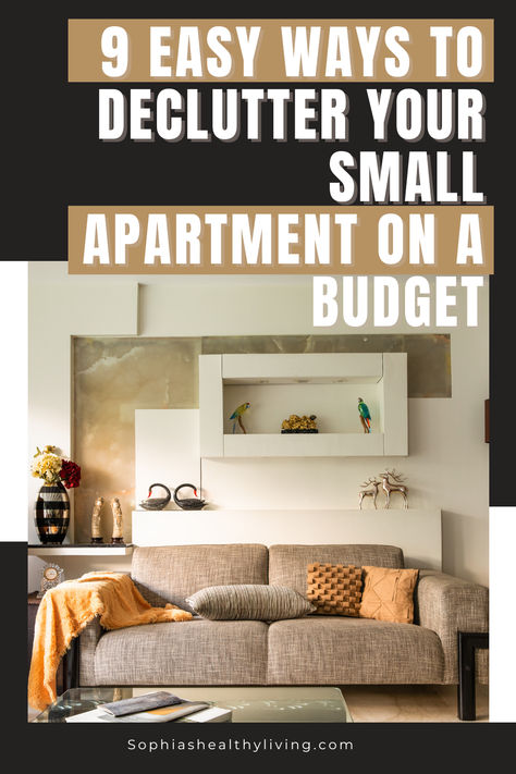 Clutter-free apartment Small Apartment On A Budget, Decorating A Small Apartment, Apartment On A Budget, Space Saving Hacks, Minimalist Apartment Style, Saving Hacks, Decluttering Tips, Living Room Styles, Trendy Living Rooms