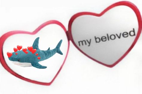 Whale Shark Matching Pfp, I Heart Sharks Pfp, I Heart Sharks, I Love Sharks Pfp, Shark Reaction Pic, Silly Shark Pfp, Shark Profile Picture, Blahaj Pfp, Trans Shark