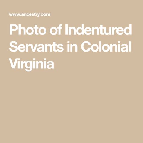 Photo of Indentured Servants in Colonial Virginia Colonial Virginia, John Barnes, Indentured Servants, University Of North Carolina, Twenty One, The Twenties, Virginia