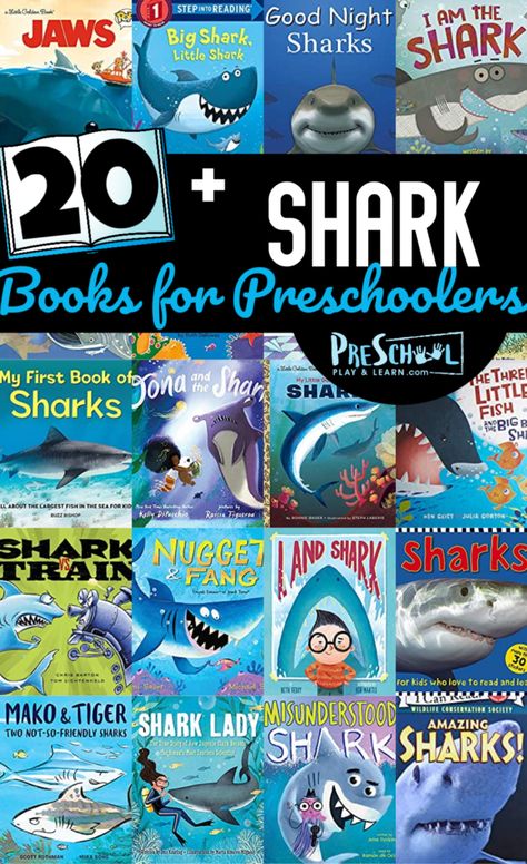 Misunderstood Shark, Dinosaur Books For Kids, Shark Books, Books For Preschoolers, Shark Facts, Shark Pictures, Ocean Unit, Big Shark, Nonfiction Text Features