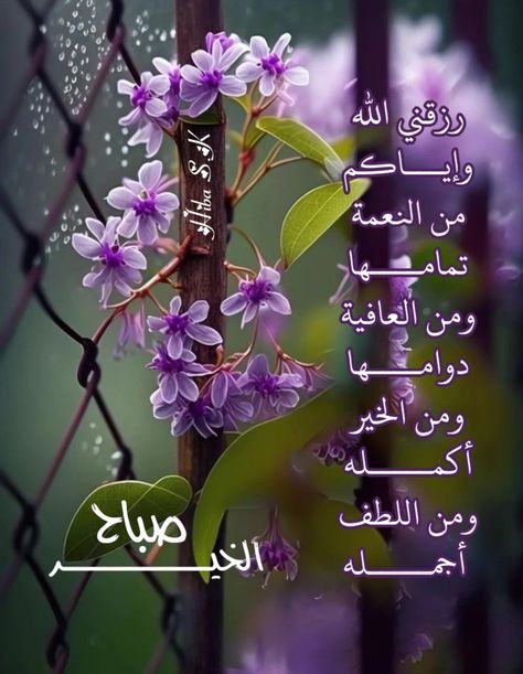 Good Morning Arabic, Colourful Living Room Decor, Glittery Wallpaper, Beautiful Morning Messages, Positive Words Quotes, Cellphone Wallpaper Backgrounds, Cute Flower Wallpapers, Good Morning Picture, Islamic Phrases