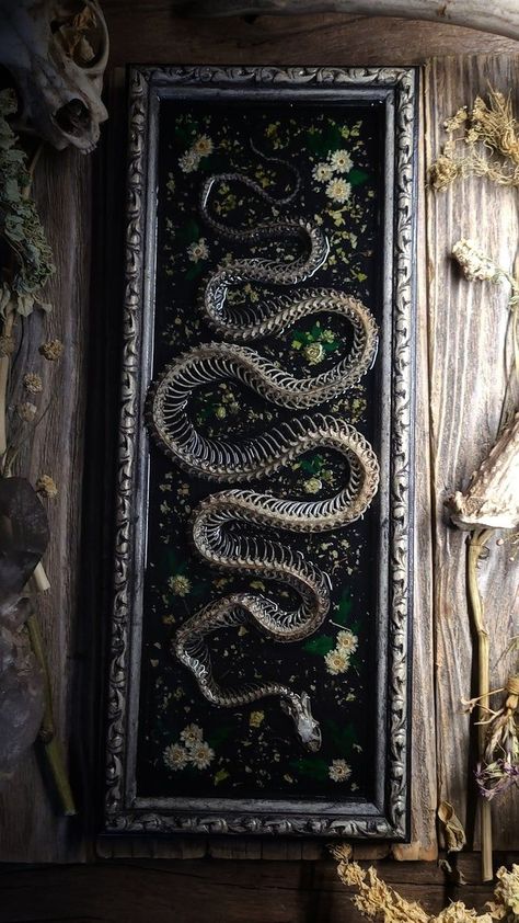 Darling Dead Adornment Victorian Bathroom Accessories, Victorian Gothic Decor, Snake Skeleton, Oddities Decor, Taxidermy Art, Bone Crafts, Salon Suites, Dark Home Decor, Wonders Of Nature