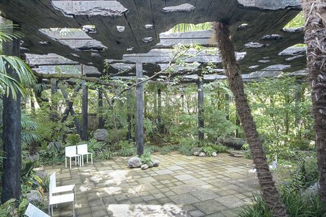 Kokage-gumo Pavilion / junya ishigami + associates | ArchDaily Tokyo House, Water Pavilion, Junya Ishigami, Abandoned Mansion, Japanese Architect, Tokyo Tower, Old Trees, Good Environment, High Rise Building