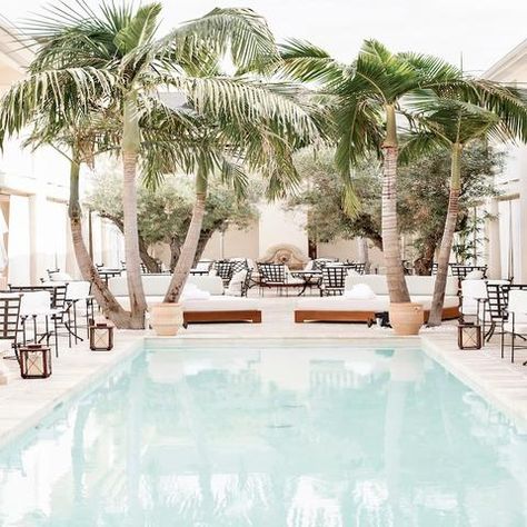 Cara Hotel, Royale Aesthetic, Hazel Boutique, Florida 30a, Best Swimming Pools, Lafayette Hotel, Hotel Rooftop, Hotel Los Angeles, Hills Resort