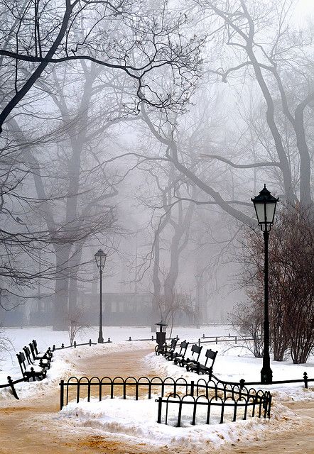 Winter morning fog - Krakow - Poland. Wouldn't it be amazing to walk through here on a cold winter morning? Book And Coffee, Snow Pictures, Morning Fog, Winter Szenen, Winter Morning, Krakow Poland, I Love Winter, Winter Mornings, Winter Magic