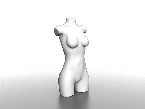 Female torso mannequin 3d model Mannequin Torso, Female Torso, 3ds Max, Anatomy, Free Download, Art