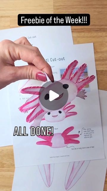 Axolotl Art Project, Diy Axolotl Crafts, Easy Axolotl Drawing, Axolotl Crafts For Kids, Draw An Axolotl, Diy Axolotl, Mexico Activities, Style Writing, Ancient Aztecs