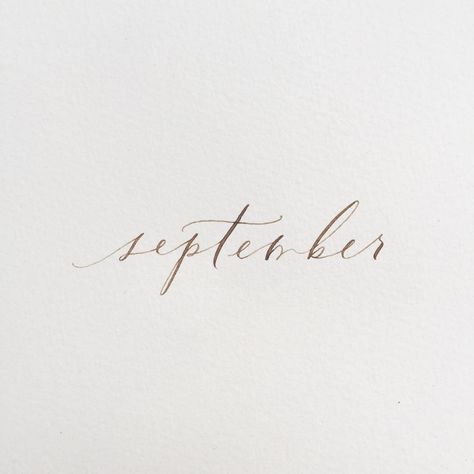 September In Cursive, September Calligraphy, Brush Lettering Font, Tech Decor, Fall Fonts, Ig Icon, Old World Wedding, Handwritten Type, Balloon Words