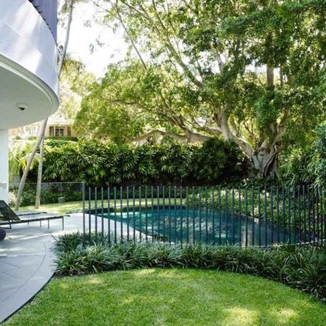 #pool #fence #detail by @tzarchitecture we softened the connection point to the ground with #giant #mondo #grass. I love this garden it's really #elegant and suits the unusual curved house and pool. #architect #landscapearchitecture #garden #collaboration #sydney Pool Fencing Landscaping, Round Pools, Fence Around Pool, Glass Pool Fencing, Living Pool, Pool Landscape Design, Round Pool, Backyard Pool Landscaping, Pool Fence