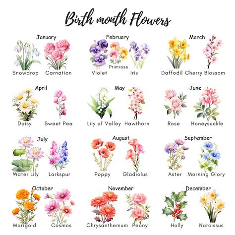 Birth Month Flower Digital Print, Birth Flowers Clipart, Personalized Flower Bouquet, Floral Design, Birth Month Flowers, Botanical Clipart - Etsy Monogram Tattoo, Daisy May, March Wedding, Birth Flower Tattoos, Flowers Botanical, Flowers Clipart, Birth Month Flower, Month Flowers, Birth Month Flowers