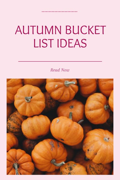 Explore an exciting autumn bucket list filled with unique activities for the fall season, perfect for making unforgettable memories. This pin features ideas like pumpkin picking and scenic hikes, designed for autumn lovers. Autumn Bucket List Ideas, Fall Goals, Autumn Bucket List, Warm Apple Cider, Halloween Movie Night, Bucket List Ideas, Get Ready For Fall, Pumpkin Patches, Warm Apple