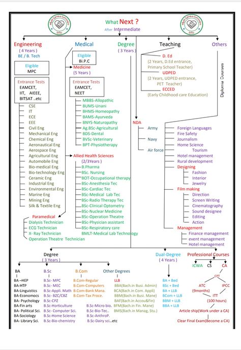 After 10th Career Chart, Neet Syllabus Chart 2025, Career Chart, Study Time Table, Ias Study Material, Upsc Exam, Gk Questions And Answers, Study Flashcards, Exam Motivation