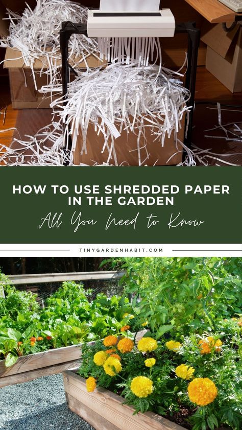 Uses For Shredded Paper, Shredded Paper Uses, Seed Starting Setup, Seed Starting Containers, Garden Setup, Types Of Mulch, Garden Hacks, Kinds Of Vegetables, Flower Bar