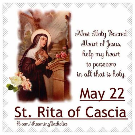 St. Rita Feast Day May 22 | St. Rita, please PRAY FOR US ALL !! Prayer To St Rita, Rita Of Cascia, Saint Rita, St Rita Of Cascia, St. Rita, Giving Thanks To God, Catholic Women, Deeper Life, Pope John Paul Ii