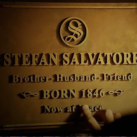 Stefan Aesthetic, Tvdu Aesthetic, Tvd Dr, Tvd Aesthetic, The Vampire Diaries 3, Caroline Forbes, Stefan Salvatore, The Vampire Diaries, Vampire Diaries The Originals