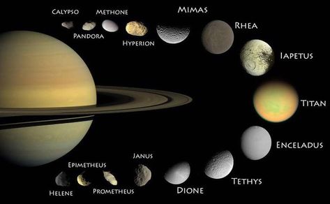 Saturn is a very large planet, and it is not surprising that it has many moons. In fact, Saturn comes in second place. Click for more information. Facts About Saturn, Jupiter Planet, Cassini Spacecraft, How The Universe Works, Saturns Moons, Impact Crater, Rings Of Saturn, Space Probe, Saturn Planet