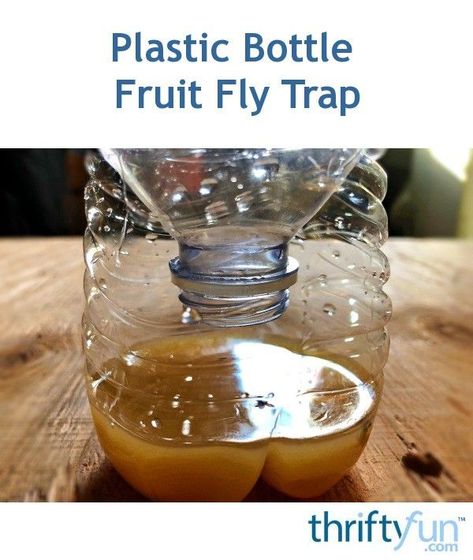 “We have tried many things to get rid of fruit flies in our home, and this is hands down the easiest, cheapest, and most effective way. One of the most important things in order to catch them is the bait you put out. Fruit flies can be more attracted to some things more than others, whether it's vinegar, bread, actual fruit, and so on. After lots of testing here, we've found ours love a concoction of rice wine vinegar and juice from an overripe lemon. ” How To Catch Flies, Homemade Gnat Trap, Catch Fruit Flies, Fruit Flies In House, Fruit Fly Trap Diy, Natural Cleaning Products Diy, Fly Bait, Flies Outside, Fruit Fly Trap