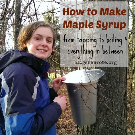 from tapping to boiling and everything in between- How to Make Maple Syrup How To Get Maple Syrup From A Tree, Making Syrup, Maple Syrup Taps, Diy Maple Syrup, Tree Tapping, Maple Syrup Candy, Maple Tapping, Tapping Maple Trees, Homemade Maple Syrup