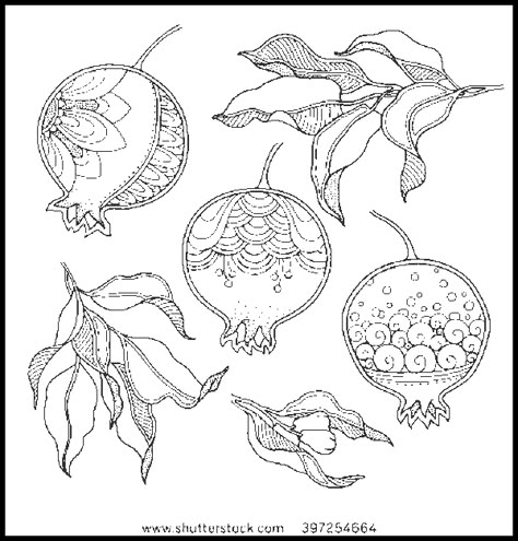 Motifs Art Nouveau, Leaves Doodle, Pomegranate Art, Arte Doodle, Monochrome Background, Motif Art Deco, Pattern Coloring Pages, Fruit Illustration, Line Art Design