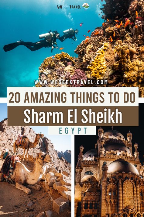 Best Places In Egypt, Things To Do In Egypt Bucket Lists, Egypt Things To Do, Traveling To Egypt Tips, Egypt Itenary, Egypt Places To Visit, Sharm El Sheikh Egypt Travel, Sham El Sheikh Egypt, Egypt Bucket List