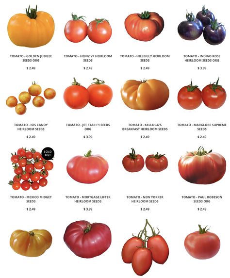 Grow both Heirlooms and hybrids for the best harvests! Heirloom Tomato Seeds, Anti Inflammation Recipes, Types Of Tomatoes, Garden Catalogs, Heirloom Tomato, Tomato Garden, Home Vegetable Garden, Food Info, Tomato Seeds