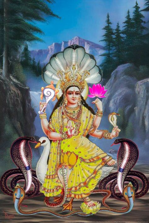 🐍 Maa Manasa Devi 🐍 Mansha Devi, Maa Manasa, Manasa Devi, Dancing Shiva, Rainbow Serpent, Aadi Shakti, Wallpaper Photo Gallery, Ganesh Photo, Hindu Goddess