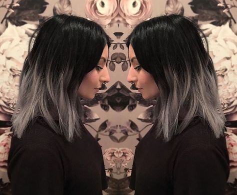 Ghost Roots, Black And Silver Hair, Silver Ombre Hair, Color Block Hair, Short Dark Hair, Dyed Blonde Hair, Bright Hair, Hair Color For Women, Hair Color And Cut