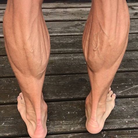 Fitness Gym on Instagram: “Best 5 calves exercices huge 🔥🔥💪 👇👇👇👇👇 https://youtu.be/WEAyGmR4R2s  #fitness #fitnessmotivation #fitnessmodel #fitnessaddict #fitnessgirl…”