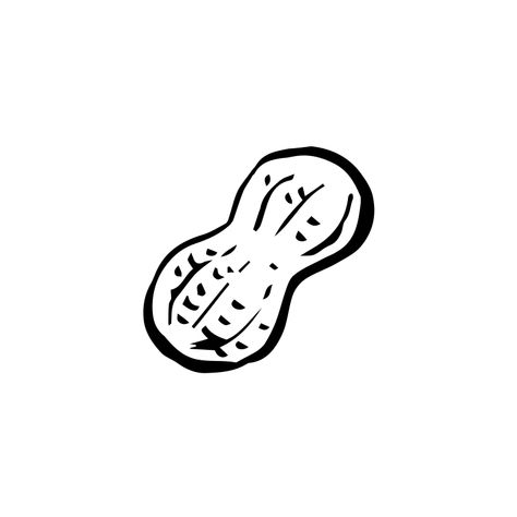 Peanut Illustration, Peanuts Images, Boiled Peanuts, Line Illustration, Vector Png, Art Logo, Free Image, Free Png, Royalty Free Images