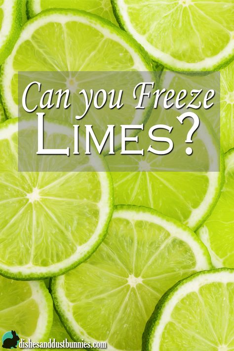 In this post I’ll give you a few hints on some creative ways to freeze limes or any citrus fruit! Freezing Lemons, Lemon Water Health Benefits, Lemon Water Before Bed, Freezing Fruit, Freezing Vegetables, Water Health Benefits, Hot Lemon Water, Frozen Lemon, Warm Lemon Water