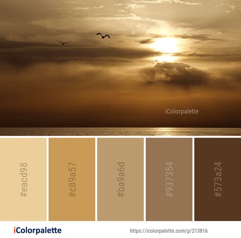 Color Palette ideas from 1479 Sunrise Images | iColorpalette Brown Gold Colour Palette, Monsoon Color Palette, Sepia Colour Palette, Light Brown Pallete Color, Brown Pallete Color, Sepia Color Palette, Couler Pallets, Brown Color Palettes, Color Palette Brown