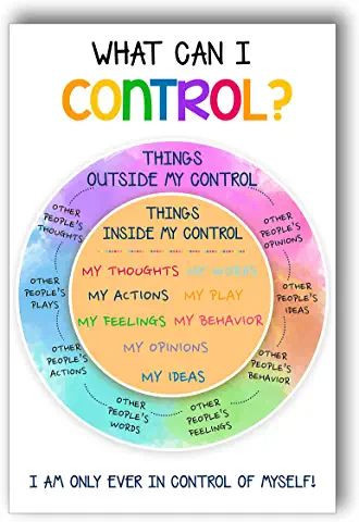 What Can I Control, Control Worksheet, Social Worker Office, Social Worker Office Decor, Social Workers Office, Circle Of Control, Coping Skills Activities, School Counselor Office, Mental Health Activities