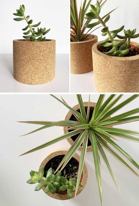 Modern Cork Planters Are Great For Showing Off Succulents And Cacti Planters For Succulents, Cork Planters, Cork Projects, Plastic Alternatives, Cork Wall, Little Shop Of Horrors, Wall Planter, Modern Round, Cacti And Succulents