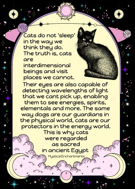 Cats Pet Spells, Witch Songs, Cats And Witchcraft, Cats Claw Spiritual, Animals In Witchcraft, Cat Witchcraft, Spiritual Meaning Of Black Cats, Cat Whiskers Witchcraft, Black Cat Magic Witch