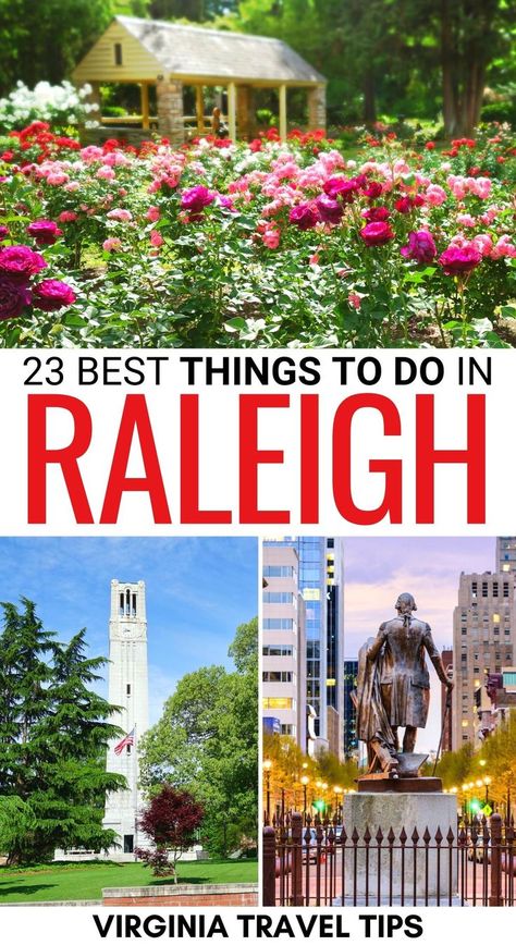 Are you searching for the best things to do in Raleigh NC for your trip? This guide details the best Raleigh attractions, landmarks, food, and more! | Raleigh things to do | What to do in Raleigh | Raleigh itinerary | Visit Raleigh NC | Travel to Raleigh | Places to visit in Raleigh | Raleigh restaurants | Raleigh BBQ | Raleigh coffee shops | Raleigh craft beer | Raleigh hikes | Hiking trails in Raleigh | Raleigh bucket list | Raleigh sightseeing | Raleigh landmarks | Attractions in Raleigh Raleigh Restaurants, Visit North Carolina, Nature Food, North Carolina Travel, Virginia Travel, Raleigh North Carolina, Travel Nursing, Best Places To Eat, Raleigh Nc